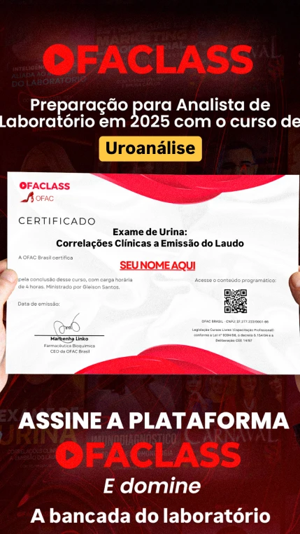 4_certificado